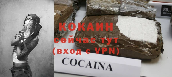 ешки Бородино
