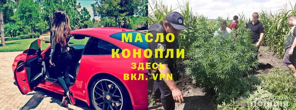 ешки Бородино