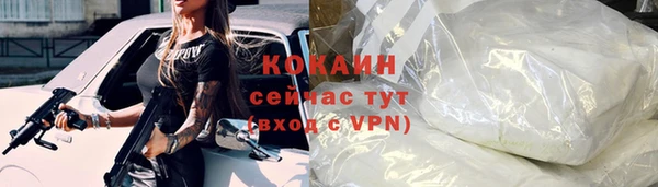 дживик Бронницы