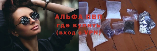 ешки Бородино