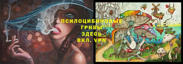 дживик Бронницы