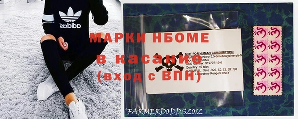 ешки Бородино