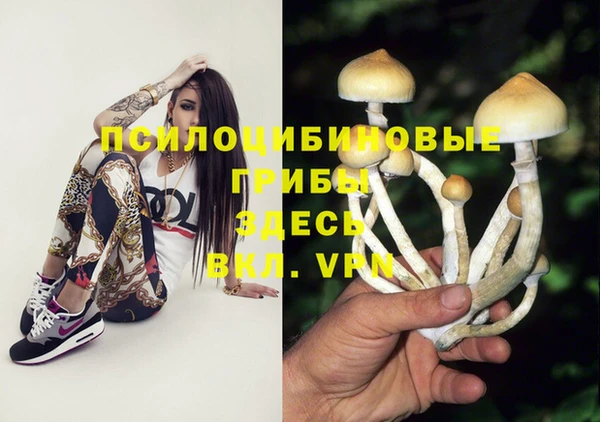 гидропоника Бугульма