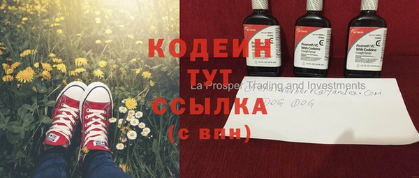 дживик Бронницы