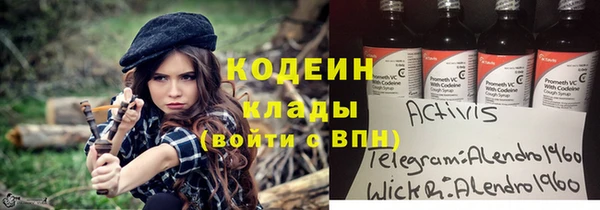 ешки Бородино